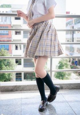 细狗网页版免费登录入口